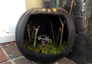 Of course, I'm not sure what's in the background in this one. Still, I don't think Fluffy is the kind of dog you want to play fetch with. Dogs like that can get quite nasty.