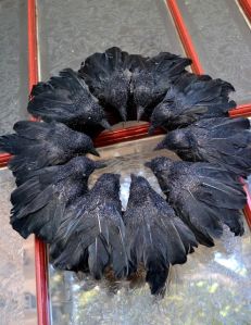 Actually these are black birds you can find in any craft store. Still, having them together as a wreath with glitter on them might make your guests wonder about you.