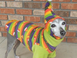 I'm sure the dog doesn't need to wear this ridiculous sweater. I mean it already has something to keep it warm and dry. It's called fur.