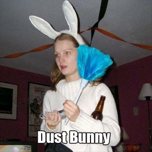 If I saw a rabbit wanting to dust my house, I'd sure let them in. Because I really hate dusting. Really hate it.