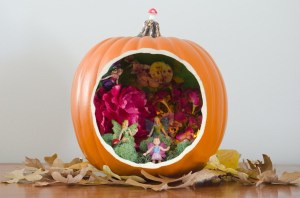 Yes, it's a fairy scene in a pumpkin. I know that pumpkins are fall plants while flowers are spring. Yes, it's kind of confusing.
