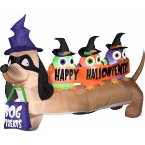 And I see the dog has his dog treat bag at the ready. Still, does he have any idea that owls have talons? And that talons are sharp?