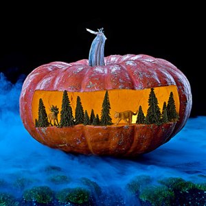 Now I wonder how someone pulled this off. Then again, the pumpkin is probably bigger than it appears in this photo.