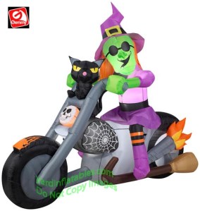 Of course, I'm sure magic will be a more effective safety measure than a helmet. But I'm not certain. Still, I don't know if she should bring her cat along.