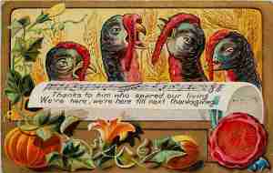 These terrifying turkeys may be gobbling now. But little do they know about turkey season, which might be sooner than they think. Then again, they might be domestic.