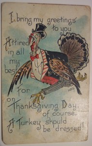 Yeah, but dressing in most turkeys' case usually doesn't apply to formal attire. Also, why the hell is he wearing pants?