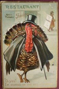 Must be hard to be a high class city turkey on Thanksgiving. Always have to be reminded on how people spend this day eating your fellow turkey brethern.