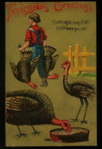 Now come on, a Thanksgiving card with turkeys watching two of their friends get it? Seriously, that's just fucked up.