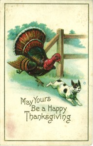 Let's just say if a dog was hungry, then it made a huge mistake going after a live turkey. Seriously, turkeys aren't as dumb and docile as they're depicted.