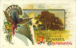 Apparently, the turkey didn't have a peaceful end as far as I can see. And I sure wouldn't call it peaceful on what's going to happen to his body next.