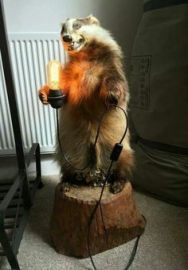 447953b61eefefec3a61c26a635b9626