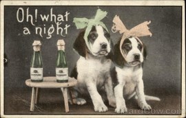 Strange and Creepy New Year's Postcards from ca. 1900s-1910s (11)