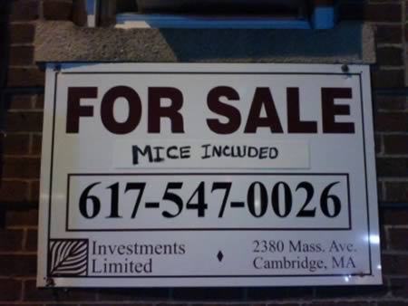 a98276_real-estate_6-mice