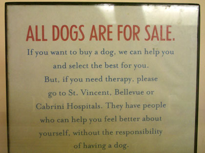 AllDogsAreForSalePetStoreSign