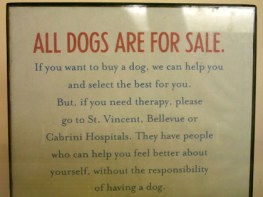 AllDogsAreForSalePetStoreSign