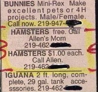 free-hamsters-ads-really-funny