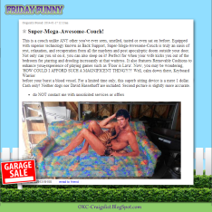 friday-funny-craigslist-ads-david-hasselhoff-couch