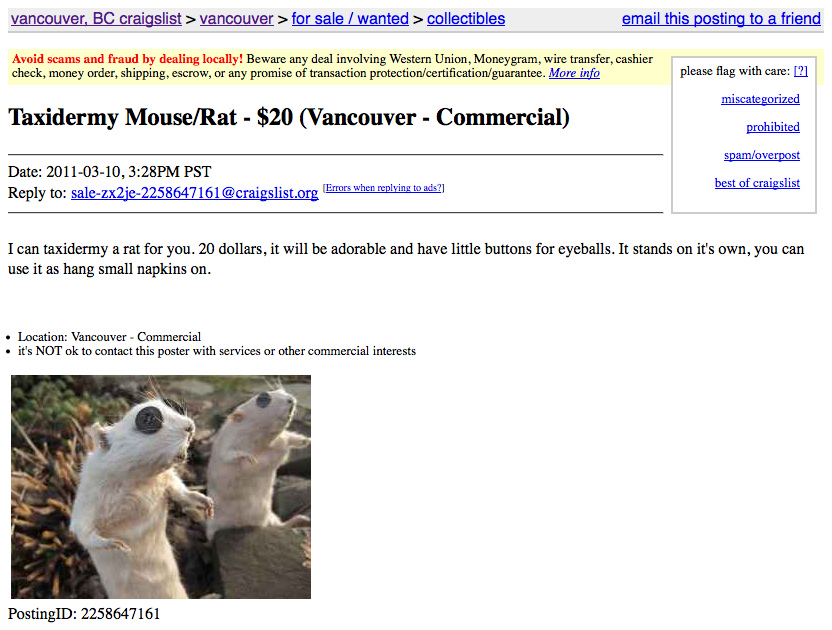 hilarious_craigslist_ad_taxidermy_mouse__rat