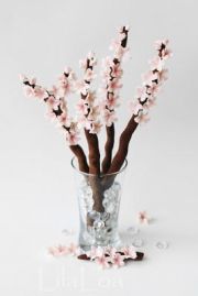 58601b321b20f1417d274f3ff4c23491