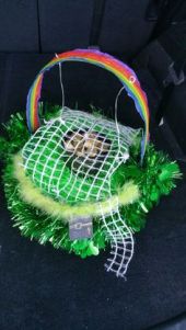 ff876c6fdde383791f01138114632812