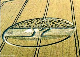 0308b6b00d967868a1ea7e274b3c0a8f