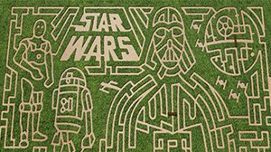 16b2014183fb16f5109a28da71687cac