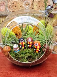 Guess it's Harry, Ron, and Hermione out somewhere. And here's Harry with his books and Hedwig.