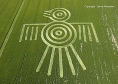 51fc08d7ed1a0a209d2af6c273a4b279