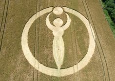 56e4e19014c8e659580e9a9117d6a311