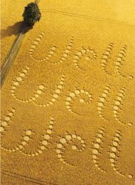 58c881d73547826f36a948cbc06ab26f