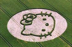 5fd1d98c086cf236160cb25f6ee46b27