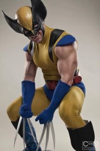 I'm sure some people might prefer this Wolverine which was his standard look for a long time. But I prefer the Hugh Jackman version for obvious reasons.