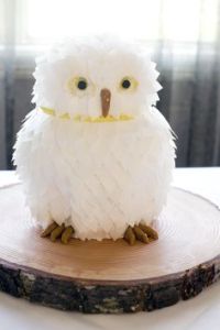 Yes, this is a Hedwig cake. And yes, it's adorable and lovely as you can see.