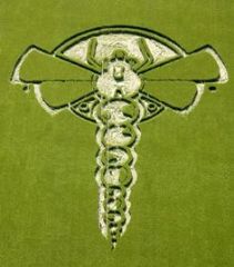 b4e49579571fbbd00ad8d62159ef6e1c