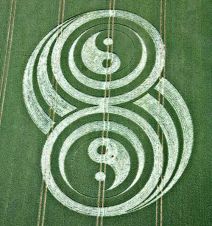 bfae20b74afbfc36c44e821fad0df1b2