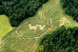 c03564d8e3ec18ef6e6de65a627a848a