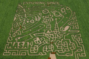 Corn-maze-1