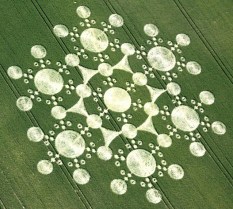crop-circle-at-white-sleet-hill-near-mere-wiltshire-25th-june-2010
