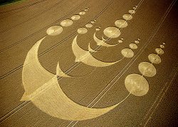 Crop_Circle_Birds