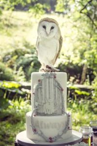 Like Snape's love for Lily as this cake commemorates. Still, I like the owl on it since it almost looks real.