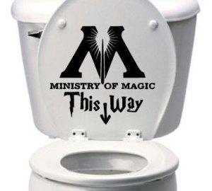 I'm sure your guests who aren't familiar with the series won't get this. But yes, you enter to the Ministry of Magic through some rundown public bathroom as I've read in the books.