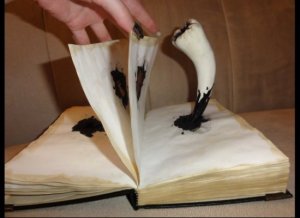 You know the one he used to lure Ginny into the Chamber of Secrets. And the one Harry eventually stabbed in there. Of course, the Chamber of Secrets thing would've been avoided if Lucius just didn't sneak it in Ginny's basket.