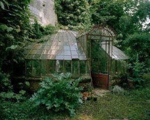 Yet another Victorian greenhouse that's abandoned. But at least this one has plants in them.