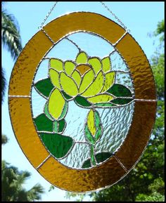 Guess this one's lost a few petals. Oh wait, that's a lily on a pad. Are there yellow lily pad flowers out there? Not sure.