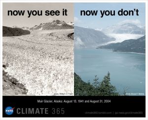 These are a pictures of Muir Glacier in Alaska. One is from 1941. The other from 2004. Guess what happened during these years.