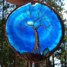 Now this is something. Wonder they did this. Perhaps we'll never know.