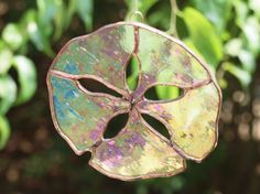 Not sure how sand dollars come into existence. But you have to like this one of stained glass.
