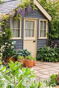 Not sure about the plants growing on the shed. But it sure looks pretty. Like the door and windows.