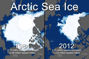 Over the last 30 years, the Arctic ice has been melting at an accelerated rate. And it makes the ice less likely to survive the next year. This spells bad news for polar bears.