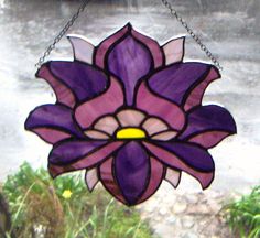 I really like this flower for it's petals and design. Also, because it's purple.